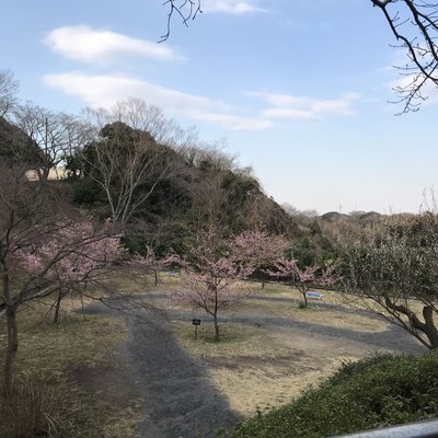 金沢動物園