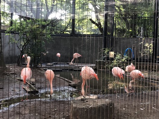 夢見ヶ崎動物公園