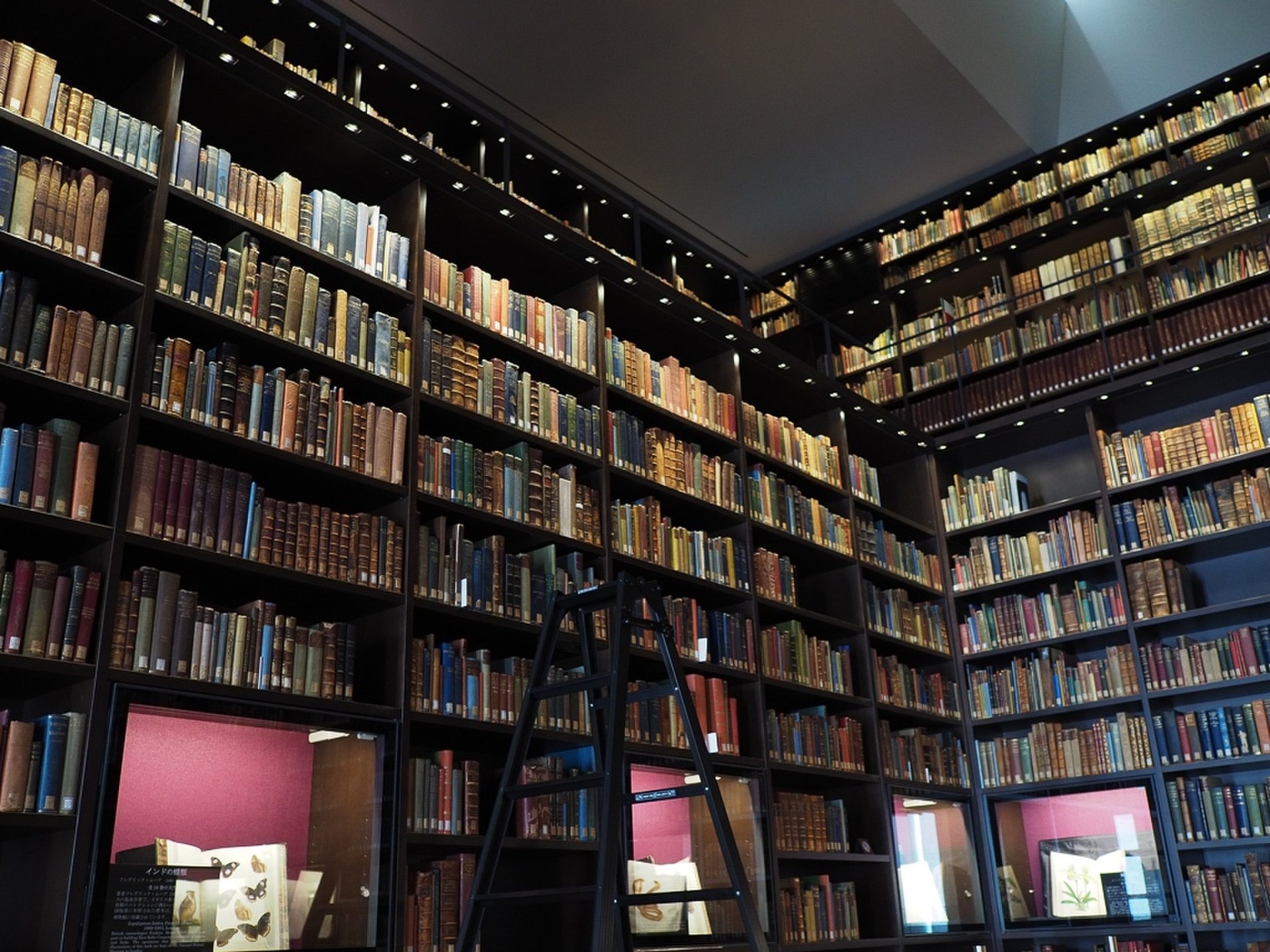駒込で読書？「東洋文庫ミュージアム」の２万冊以上の本棚が絶景すぎる！
