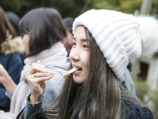 泊野観光たけのこ園