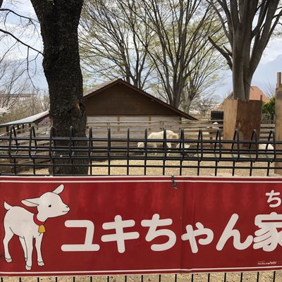 山梨県立フラワーセンターハイジの村