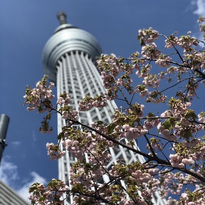 東京スカイツリー