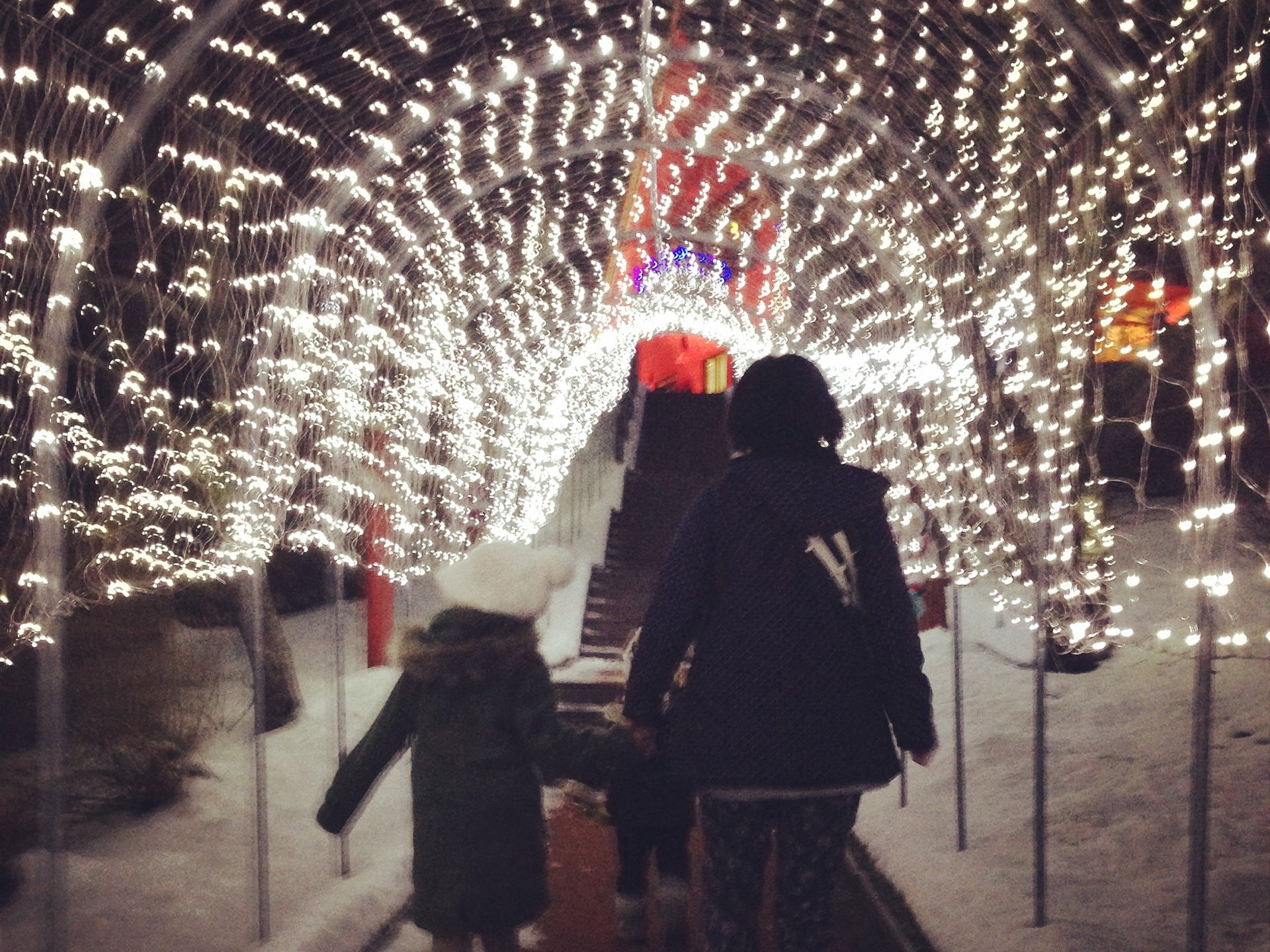 【北海道・広尾町】クリスマスシーズン到来！行ってみませんか？サンタランド