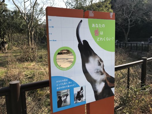 金沢動物園