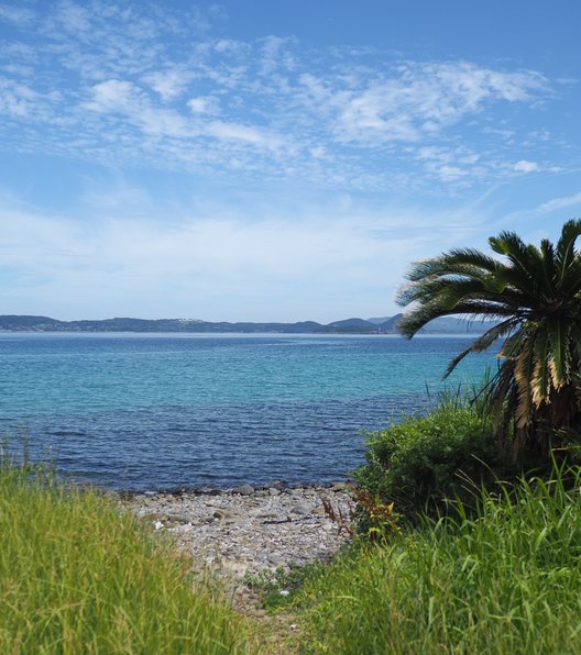 田ノ浦海水浴場