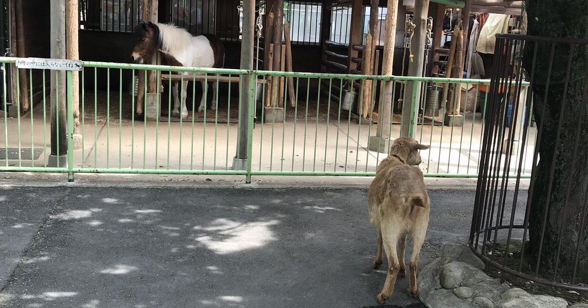 板橋区立こども動物園周辺のおすすめグルメ | PlayLife [プレイライフ]