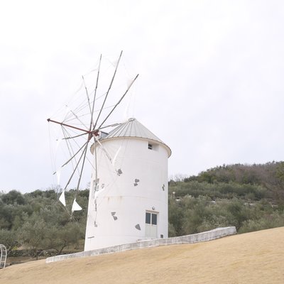 小豆島オリーブ園