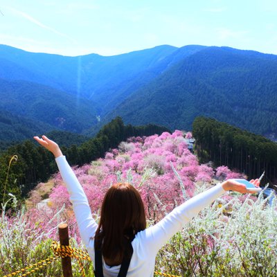 高見の郷 天空茶屋