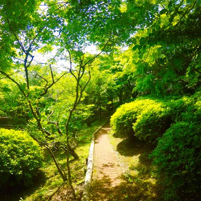 御殿場高原 時之栖