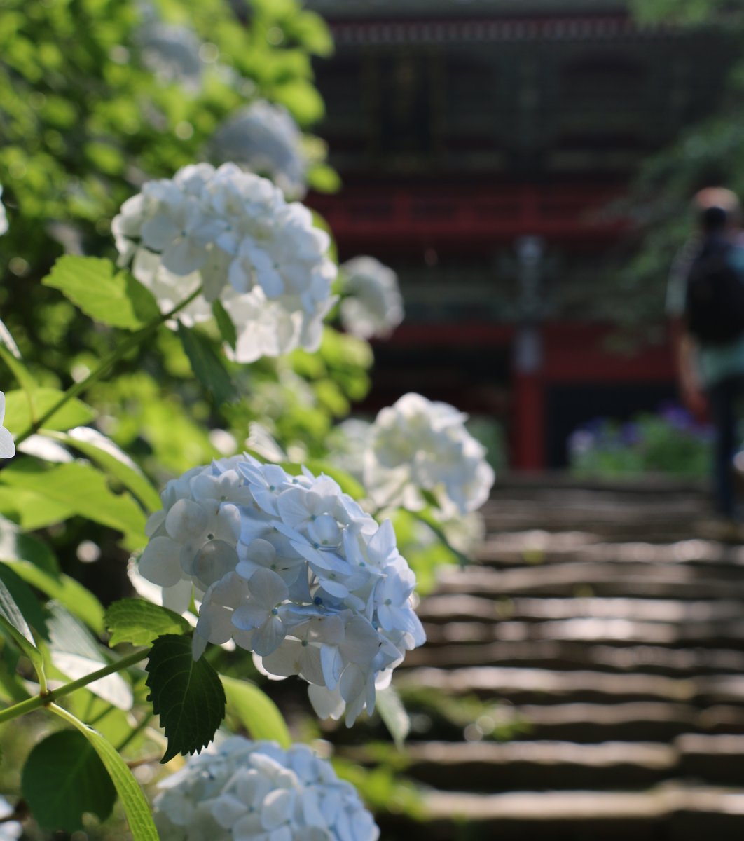 雨引山楽法寺(雨引観音)