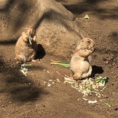 行船公園