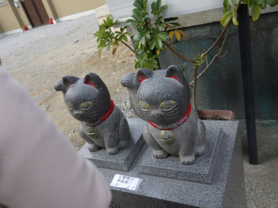 浅草 恋を招く待ち受け画像を撮りに今戸神社へ 招き猫を撫で撫ですると良いことが Playlife プレイライフ