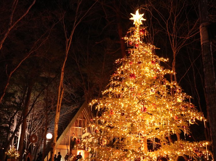 こんなクリスマスをあなたと過ごせたら １日で巡る冬の軽井沢おすすめデート Playlife プレイライフ