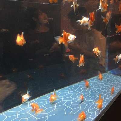 すみだ水族館