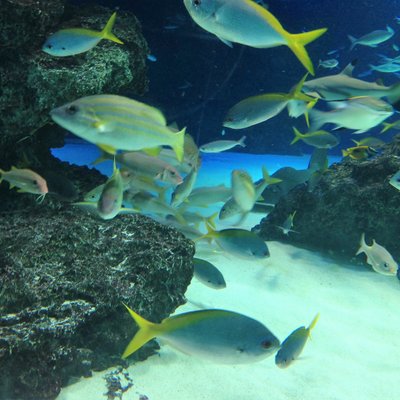 サンシャイン水族館