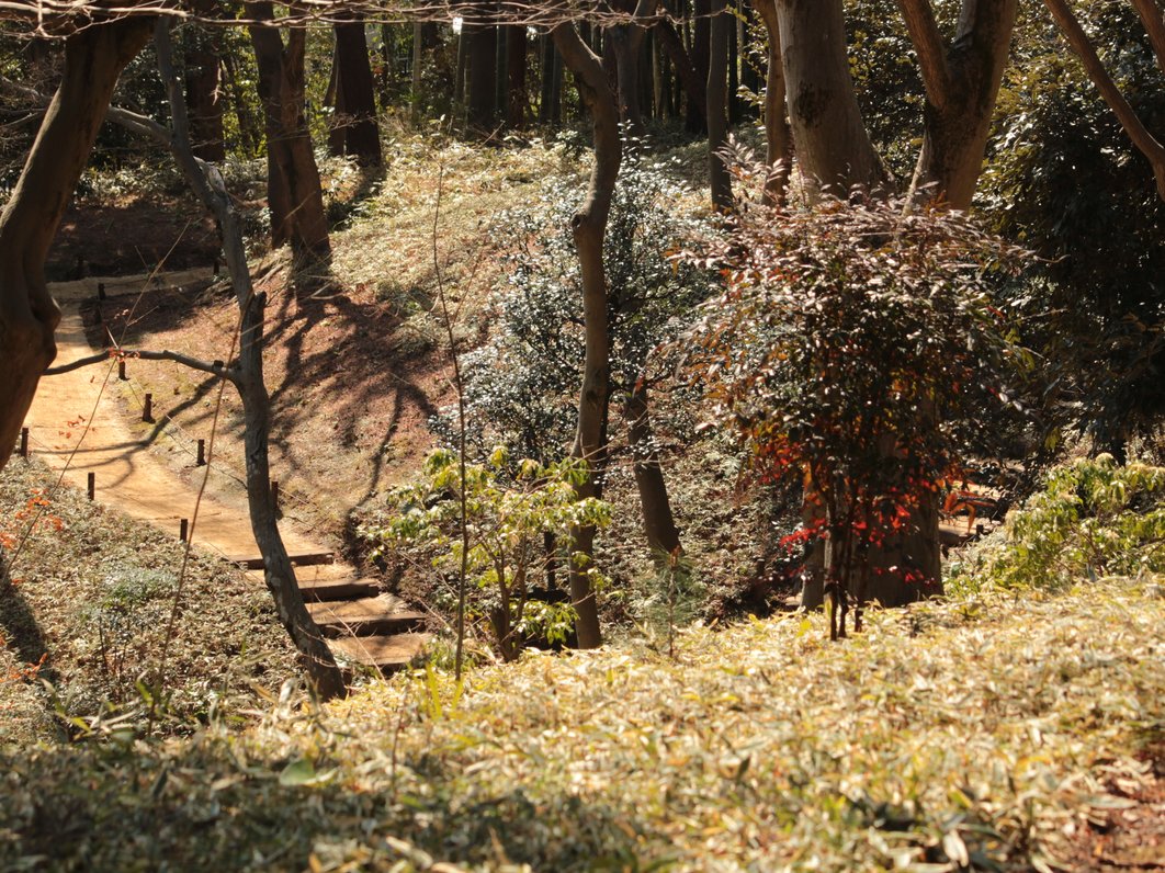 殿ヶ谷戸庭園