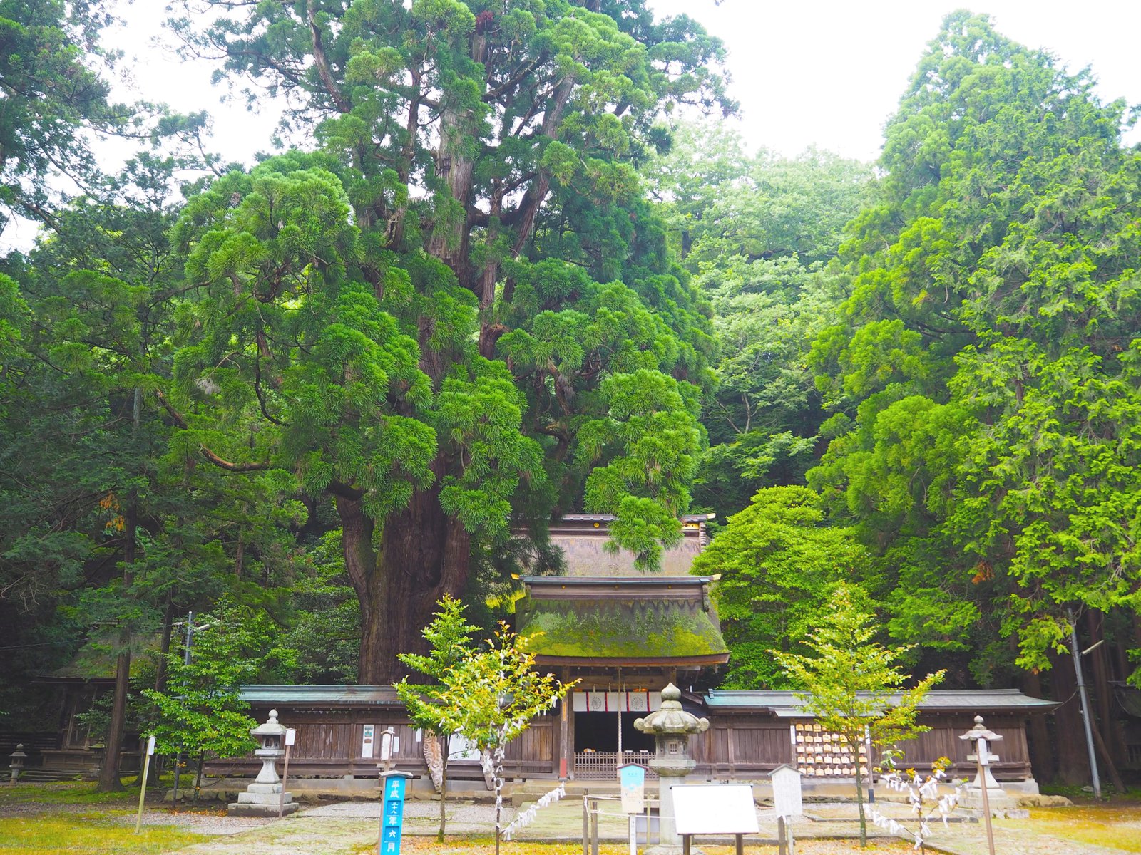 若狭姫神社