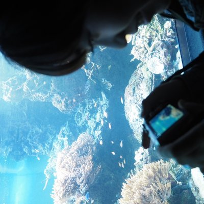 サンシャイン水族館