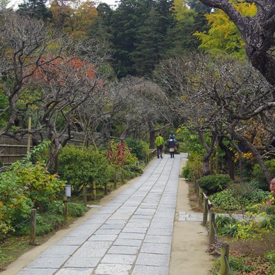 東慶寺