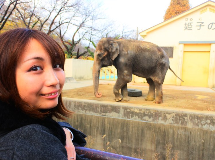 城内にある動物園 入園料は0円 姫路城にある姫路市立動物園へ行こう Playlife プレイライフ