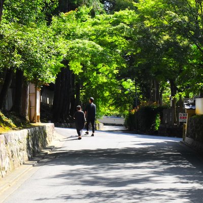 東福寺