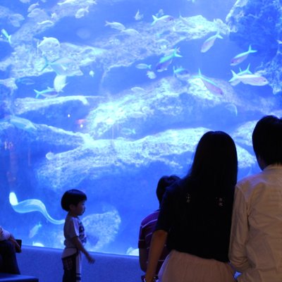 すみだ水族館