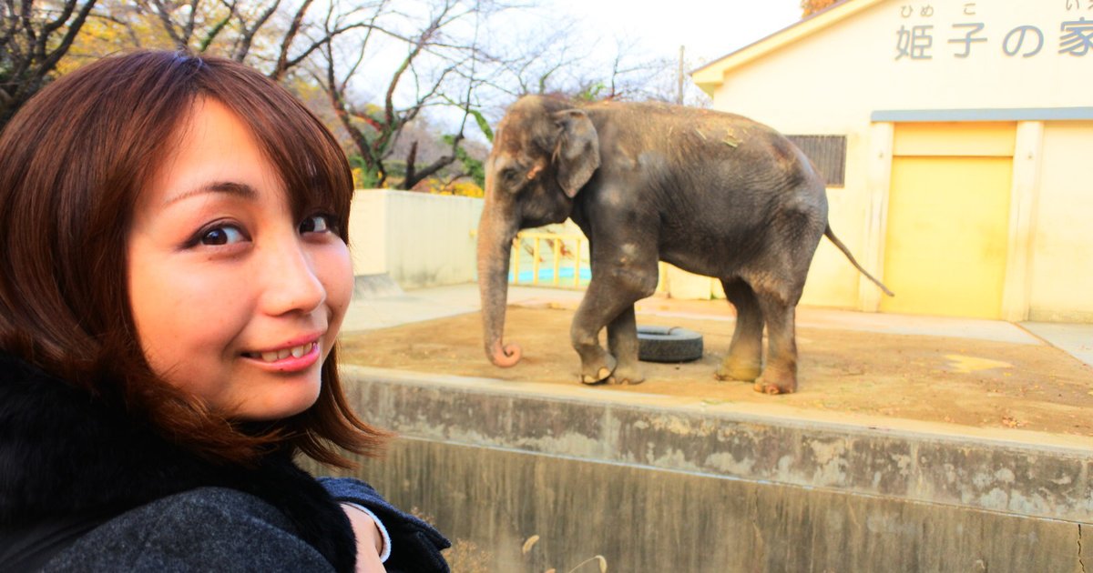 城内にある動物園 入園料は0円 姫路城にある姫路市立動物園へ行こう Playlife プレイライフ