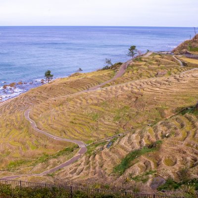 白米千枚田/北陸鉄道バス