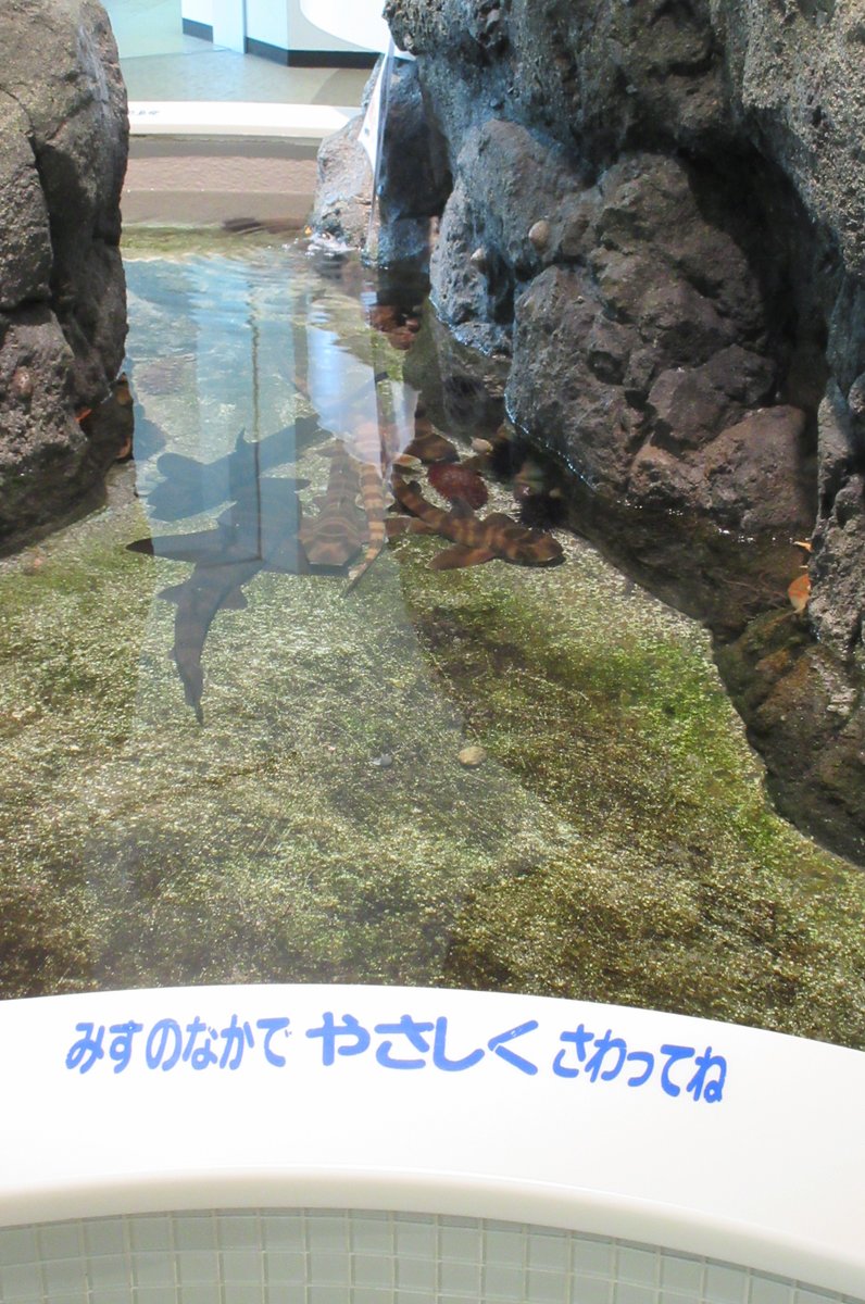 新潟市水族館マリンピア日本海