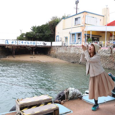 イルカ島 水族館