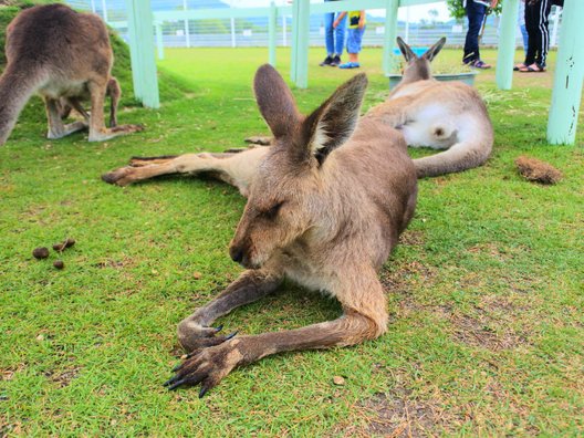 滋賀農業公園ブルーメの丘