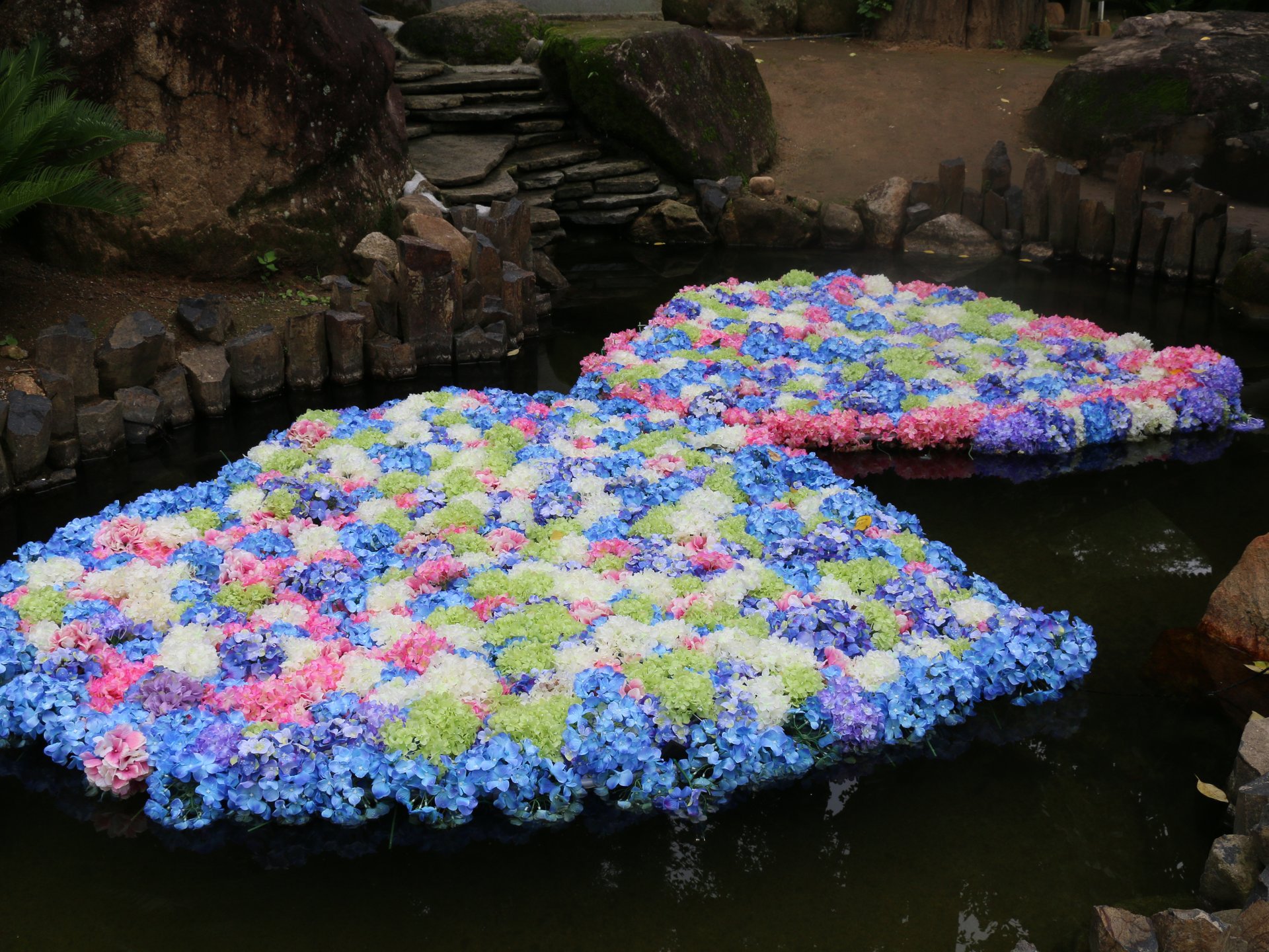 あじさいで茨城の山の中が大渋滞！インスタ映えスポット出現中の「雨引観音」へ♡