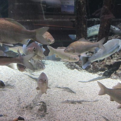 新潟市水族館マリンピア日本海