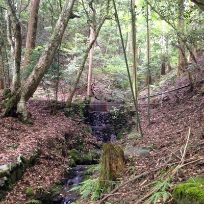 鞍馬寺