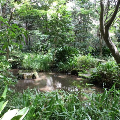 小金井市立はけの森美術館