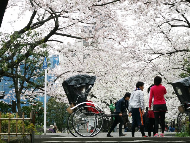 最新版 関東 春デートを先取り カップルにおすすめ 春デートスポット Playlife プレイライフ