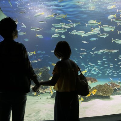 サンシャイン水族館