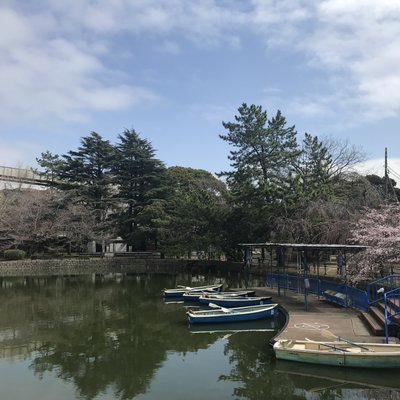 千葉公園ボートセンター