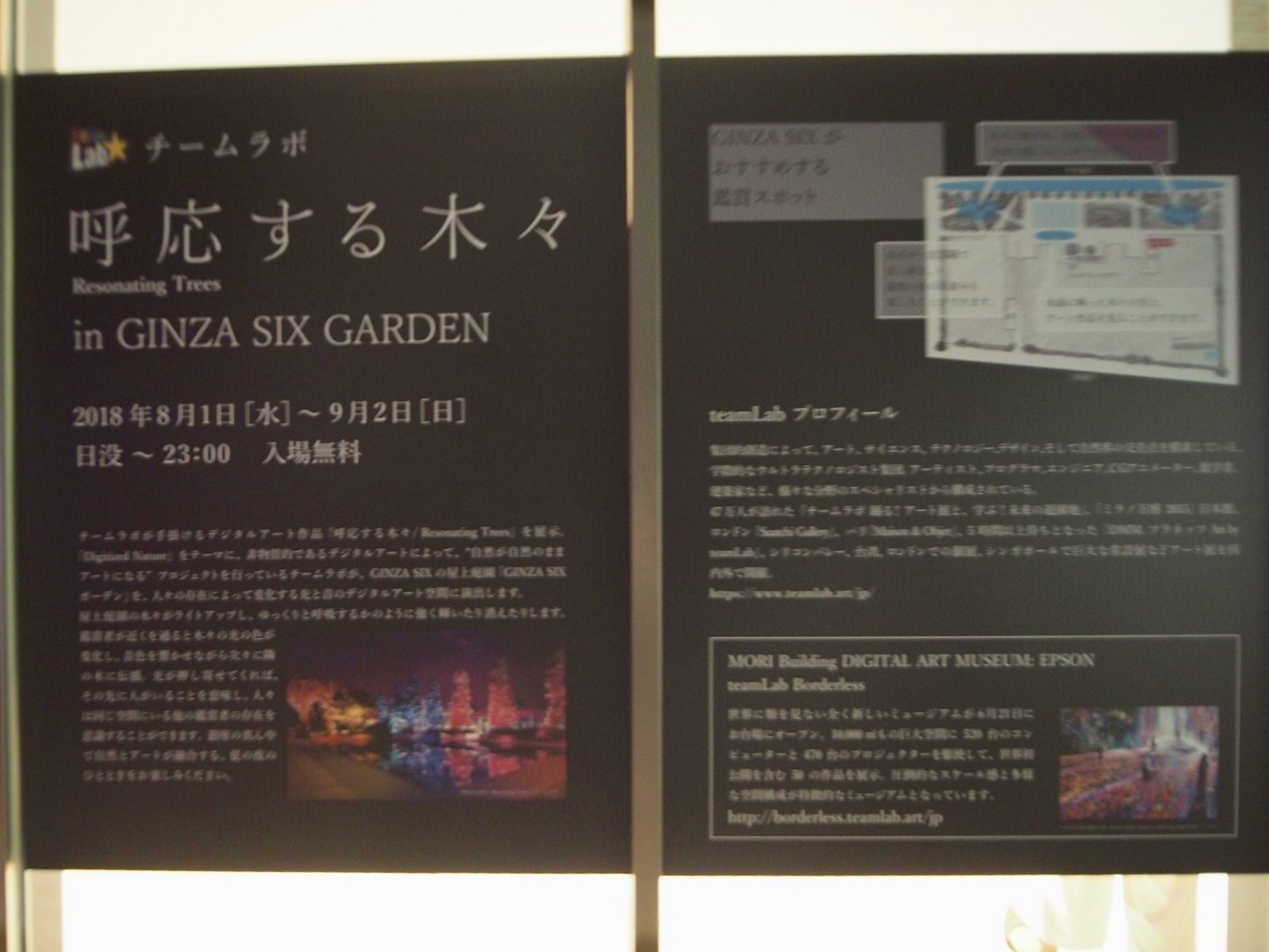 屋上庭園「GINZA SIX ガーデン」