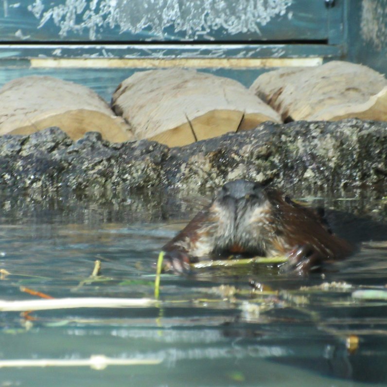 新潟市水族館マリンピア日本海