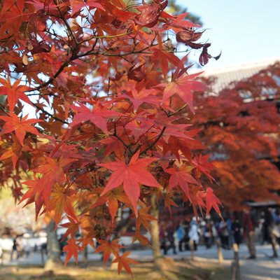 南禅寺 三門