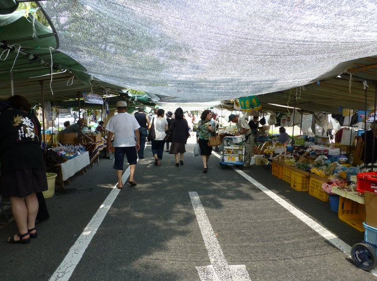 高知の街路市は日本一の規模 日曜市 で食べ歩き Playlife プレイライフ