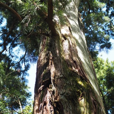 鷲子山上神社