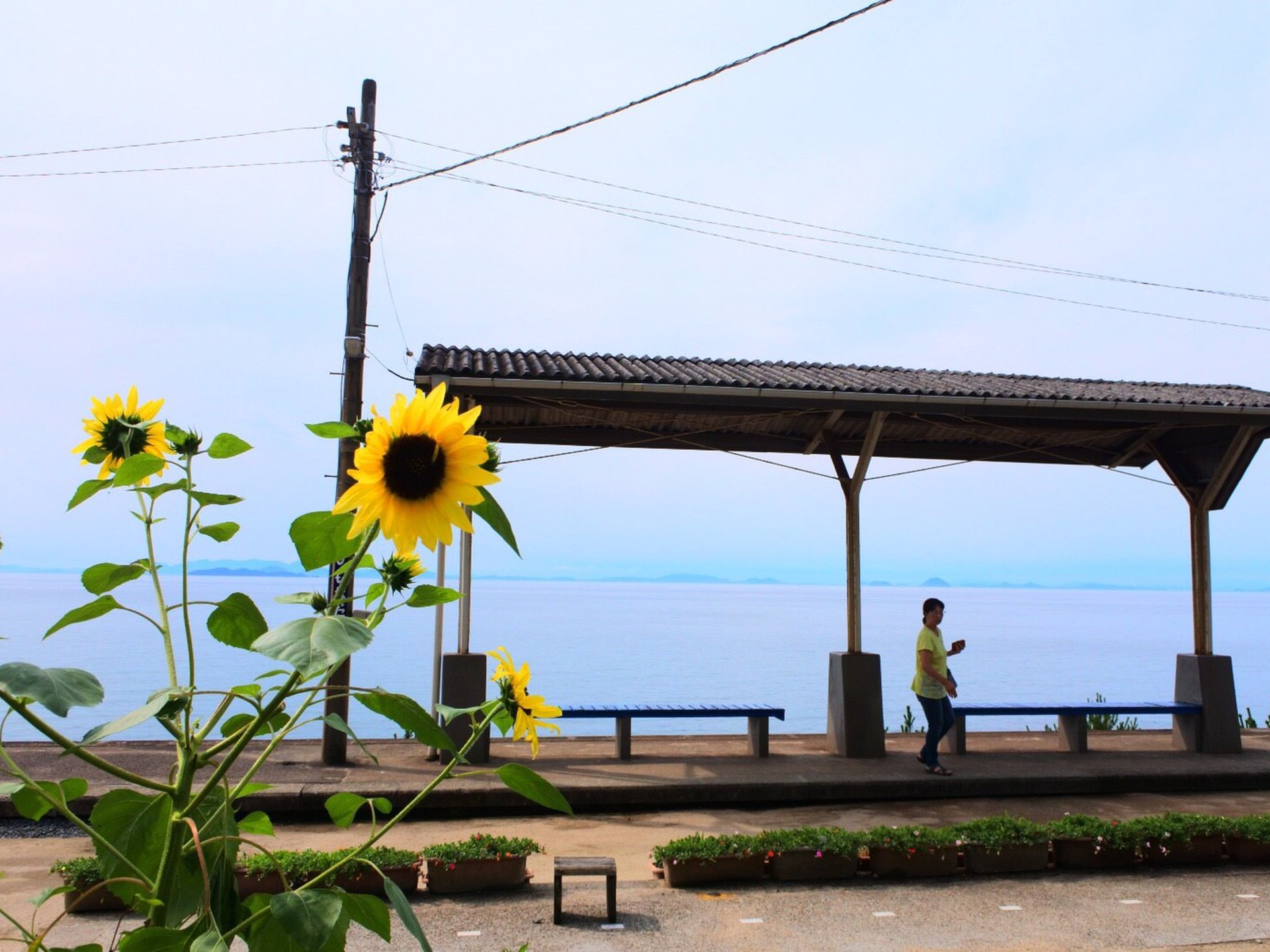 【夏休みにおすすめ！】海と無人駅がまるで絵画のよう！一度は訪れて見たい美しい無人駅！【青春編】