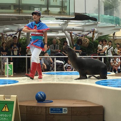 サンシャイン水族館