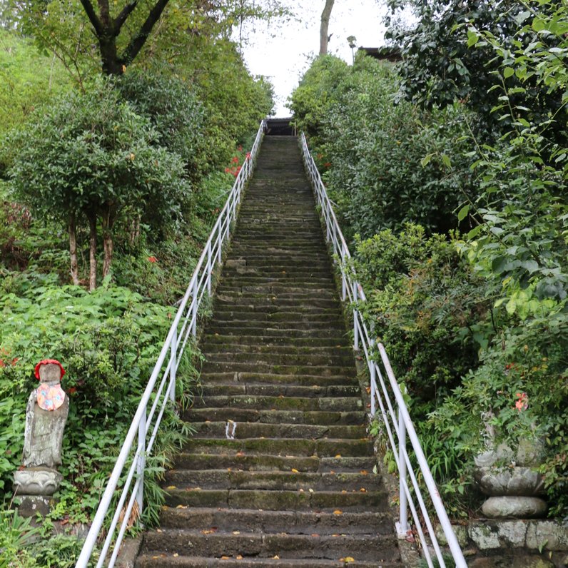 光智山 法泉寺 (札所二十四番)