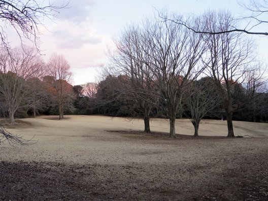 泊まれる公園「INN THE PARK」