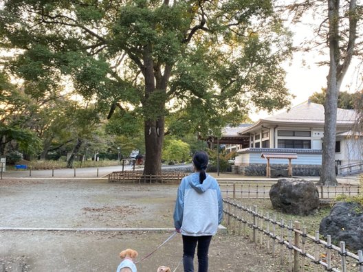 真間山弘法寺