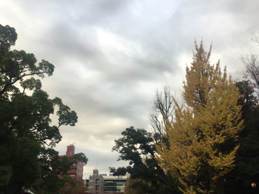 富岡八幡宮