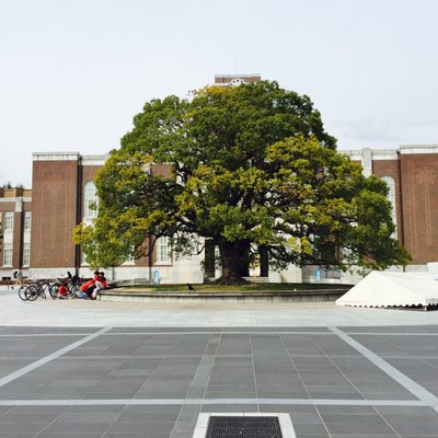 京都大学